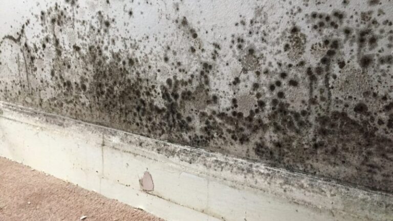 Bad mould
