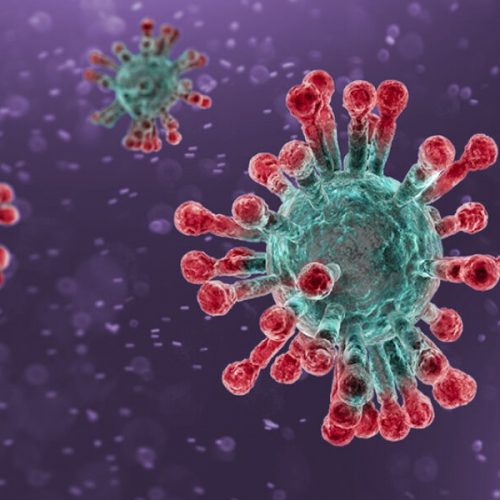 Coronavirus picture